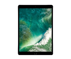 iPad Pro (10.5 inch)