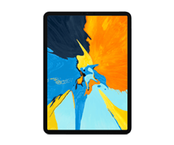 iPad Pro 2018 (11 inch)