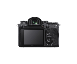 Sony Alpha A9 II