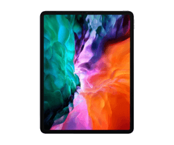 iPad Pro 2020 (12.9 inch)